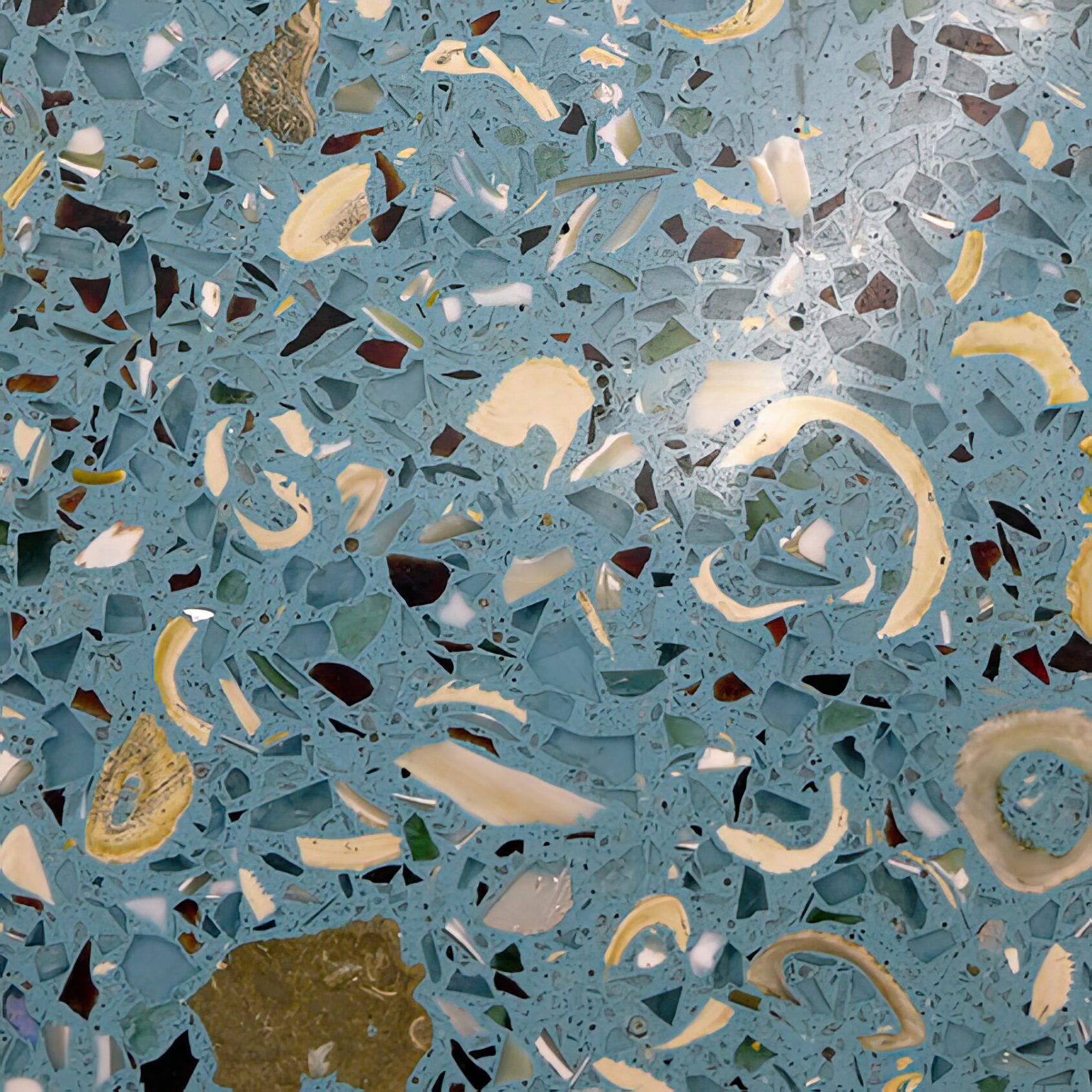 Close-up detail of shells mixed in with glass and marble chips for an epoxy terrazzo floor